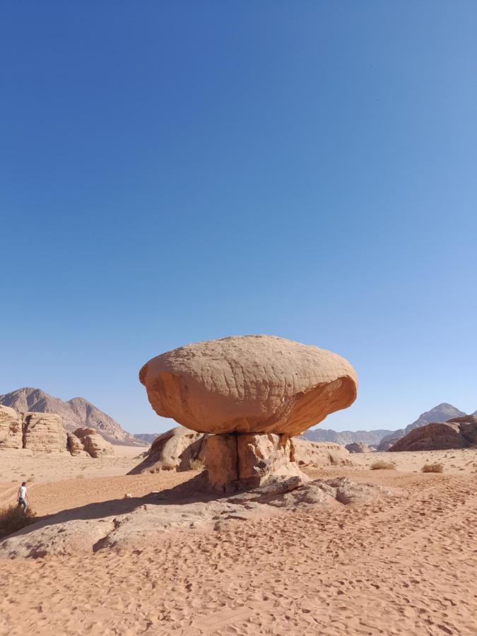 Wadi Rum Camels Camp 외부 사진