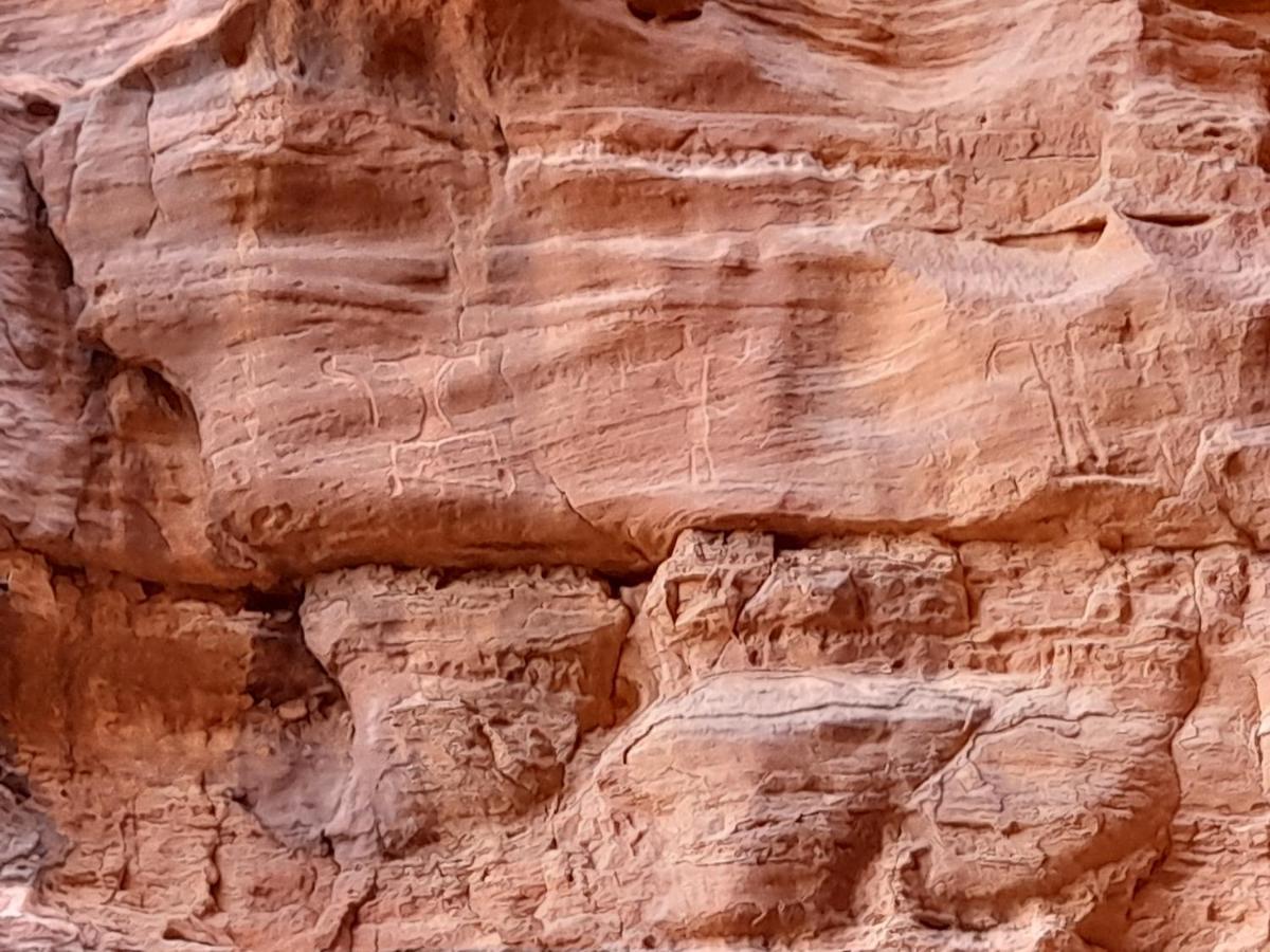 Wadi Rum Camels Camp 외부 사진